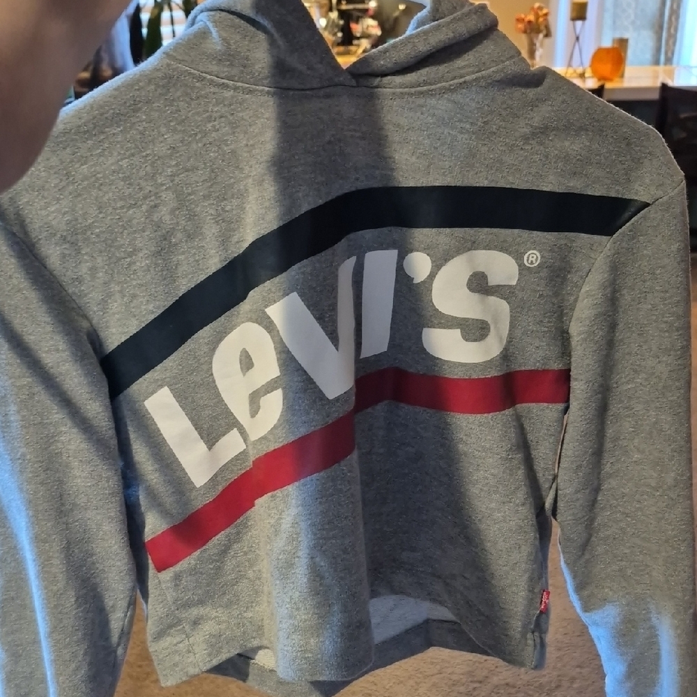 Levi's Kids Gray Sweatshirt with Logo